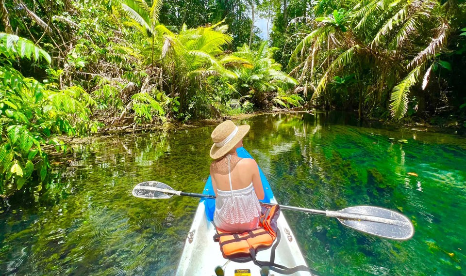 קייאק על מים זכוכיתיים בנחל ג'ונגל ב-Klong Root, קראבי